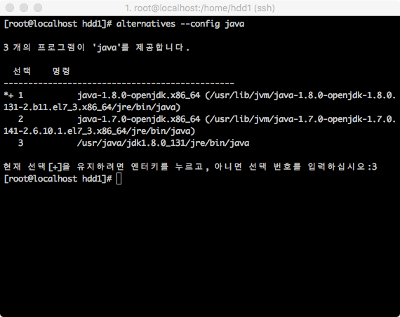 Cent OS Java 설치9