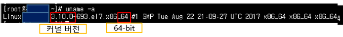 Linux 커널 버전 확인